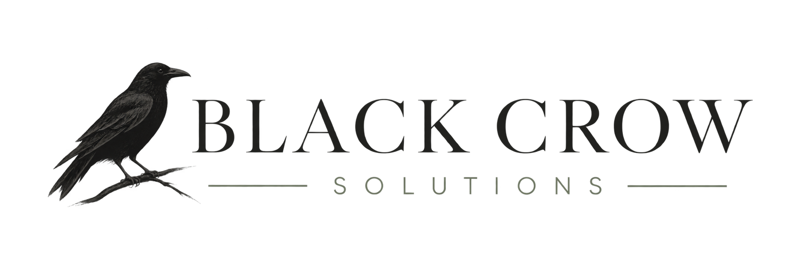 blackcrowsolutions.com